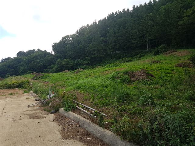 경북 울릉군 사동리에 들어서는 울릉 거점중학교가 울릉군의 진입로 확장공사 지연으로 신축 공사에 차질을 빚는 가운데 오른쪽 학교 부지엔 잡초만 무성하다. 독자 제공