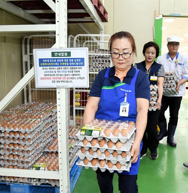 '살충제 계란' 파문이 확산하면서 대형마트에 이어 주요 편의점과 슈퍼마켓도 매장에서 계란 판매를 중단하기로 한 15일 오전 서울 농협 하나로마트 양재점에서 직원들이 계란을 수거하고 있다. 배우한 기자bwh3140@hankooklbo.com