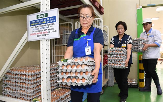 ‘살충제 계란' 파문이 확산하면서 대형마트와 주요 편의점, 슈퍼마켓도 매장에서 계란 판매를 중단하기로 했다. 15일 오전 서울 양재구 농협하나로클럽에서 직원들이 계란을 수거하고 있다. 배우한 기자bwh3140@hankooklbo.co