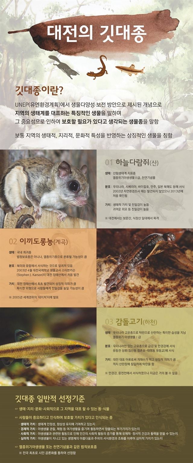 대전시 깃대종으로 선정된 하늘다람쥐, 이끼도롱뇽, 감돌고기. 대전시 제공