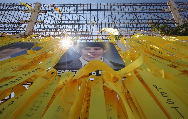 17일 오후 전남 목포시 목포신항 세월호 수색현장에 미수습자 박영인 군 사진 위로 햇살이 비치고 있다. 문재인 대통령은 16일 청와대 영빈관에서 열린 세월호 참사 유족 및 생존자 가족과의 면담에서 세월호 참사 발생 후 대통령으로서 처음으로 공식사과했다. 문 대통령은 이 자리에서 미수습자 수색 작업과 2기 세월호 특별조사위원회 구성을 위한 특별법 통과를 위한 최선의 노력을 속했다.2017.8.17 목포=연합뉴스