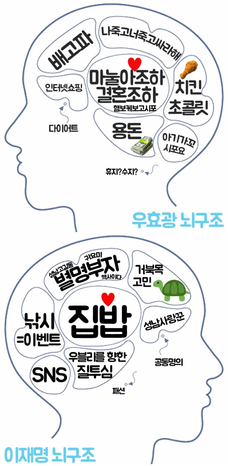 '동상이몽2' 제작진이 우효광, 이재명의 뇌 구조를 공개했다. SBS