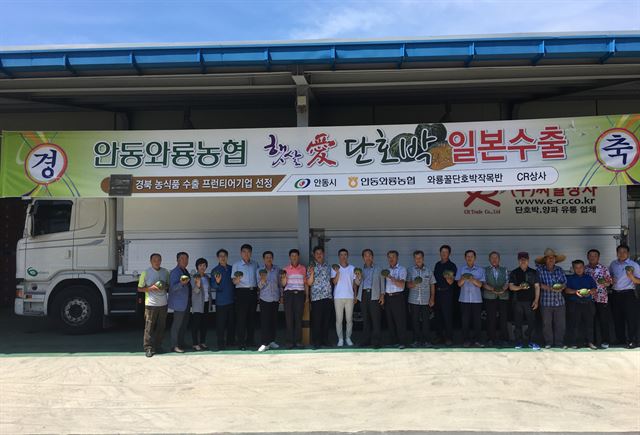 안동지역 농민들이 풋굿축제일을 맞아 와룡 단호박을 할인판매한다. 안동시 제공