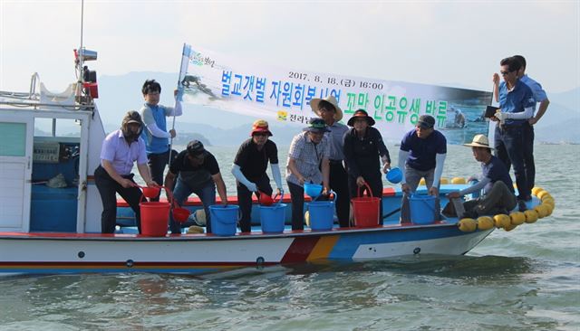 전남 보성군이 고갈 위기에 놓인 벌교 참꼬막을 살리기 위해 종묘배양장에서 생산된 꼬막 인공유생을 벌교갯벌에 방류하고 있다. 보성군 제공