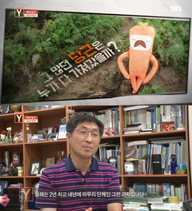 ‘궁금한 이야기 Y’에서 엉뚱한 당근 절도 소식이 전해졌다. SBS 캡처