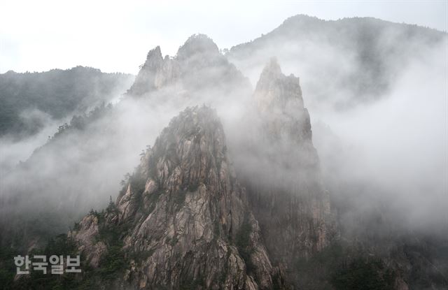 토왕성폭포 뿐만 아니라 구름이 감싼 주변 산세도 역시 설악산이다.