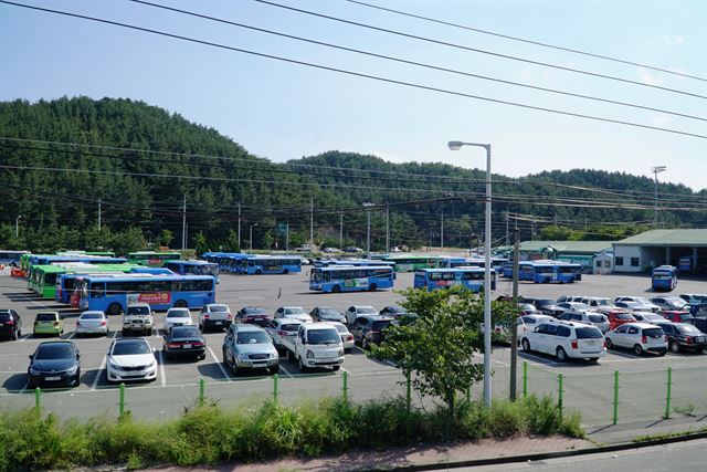 경북 포항지역을 운행하는 시내버스가 북구 양덕동에 있는 차고지에 주차돼 있다. 김정혜기자 kjh@hankookilbo.com