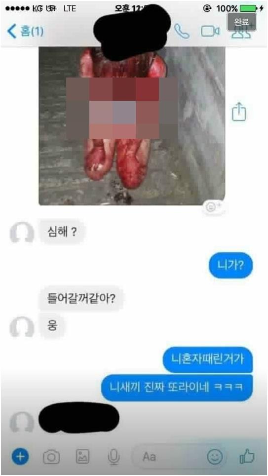 인터넷 커뮤니티 화면 캡처