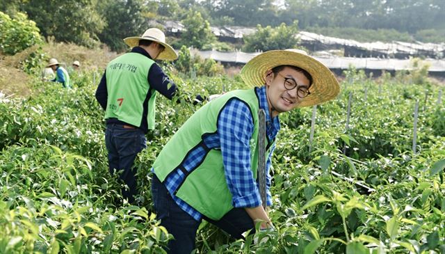 금호건설 임직원들로 이뤄진 '아름다운 어울림 자원봉사단' 단원들이 충북 증평군 증평읍 사곡리를 찾아 일손돕기 봉사활동을 하고 있다. 금호건설 제공