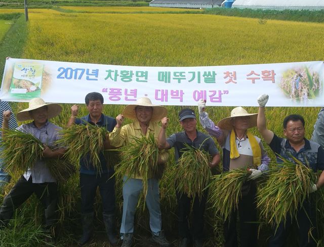 '친환경 쌀'의 대표 주자로 꼽히는 경남 산청군 차황면 메뚜기 쌀이 4일 첫 수확을 했다. 산청군 제공