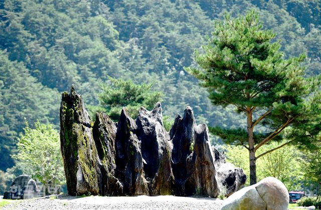 장암산 아패 평창강변의 바위공원.