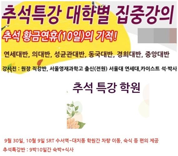 서울 대치동 등 학원가는 오는 30일부터 이어지는 긴 연휴를 이용해 ‘추석특강’을 진행한다. 각 학원 홈페이지 캡처