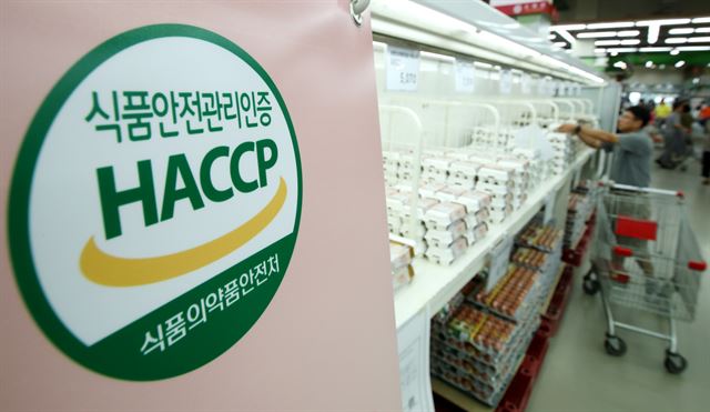 서울의 한 대형마트 계란판매대에서 '식품안전관리 인증기준(HACCP·해썹)'을 안내한 모습. 연합뉴스