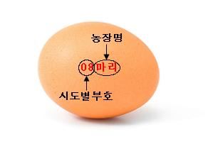 현행 난각표시 예시. 식약처 제공