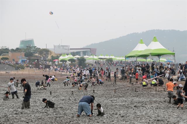 무안군 해제면 무안생태갯벌센터 일원에서 개최된 지난해 축제에서 관광객들이 낙지와 농게잡이 체험에 나섰다. 무안군제공