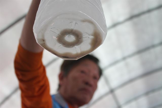 군위군 산성면 운산리에 설치한 85m 깊이 관정으로 끌어올린 물을 한 시간 가량 끓인 결과다. 30분 정도 식히자 바닥에 뿌연 침전물이 쌓였다. 권성우기자 ksw1617@hankookilbo.com