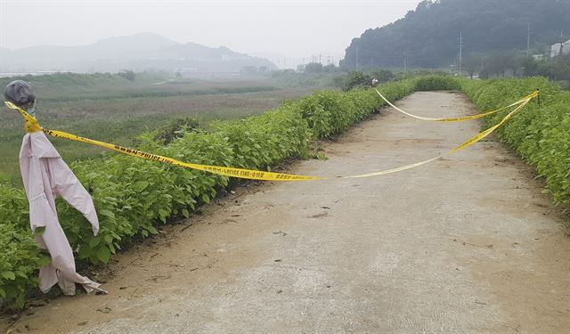 19일 오전 청주시 흥덕구 하천 둑길에서 나체 여성 시신이 발견돼 사건 현장에 폴리스라인이 설치돼 있다. 연합뉴스