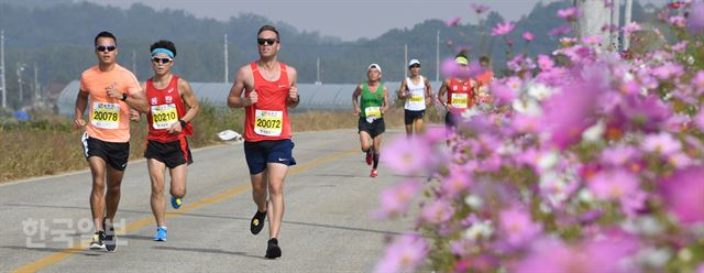 14회 철원DMZ국제평화마라톤대회가 24일 강원 철원 일대에서 열린 가운데 참가선수들이 코스모스 들녘을 달리고 있다. 오대근기자