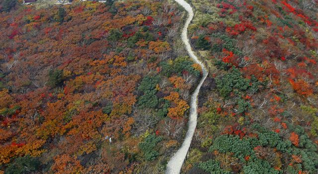 올가을 설악산국립공원의 단풍이 본격적으로 시작된 26일 상공에서 바라본 설악산이 단풍으로 물들고 있다. 속초=연합뉴스