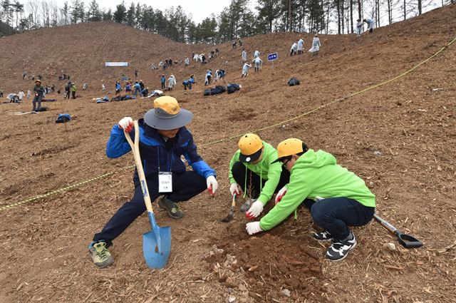 산림청이 산림자원 조성을 위해 봄철에 이어 가을철에도 600여만그루의 나무를 심는다. 산림청 제공