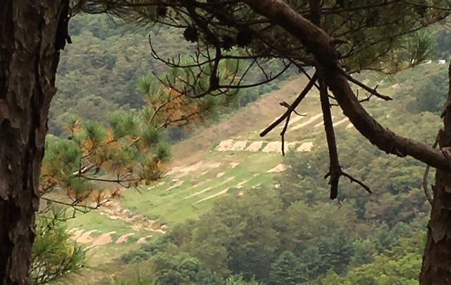 총탄이 발사된 것으로 추정되는 철원 동송읍 금학산 인근 군부대 사격장 모습. 연합뉴스