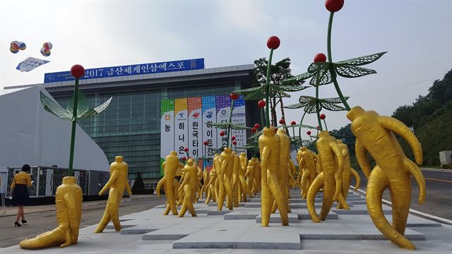 ‘2017금산세계인삼엑스포’ 가 열리는 금산군 엑스포광장에 설치한 모형인삼