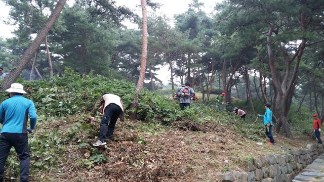 세종시 주민들이 장군면 대교리 김종서 장군 묘역에서 잡풀을 제거하고, 쓰레기를 줍는 등 환경정화활동을 하고 있다. 세종시 제공