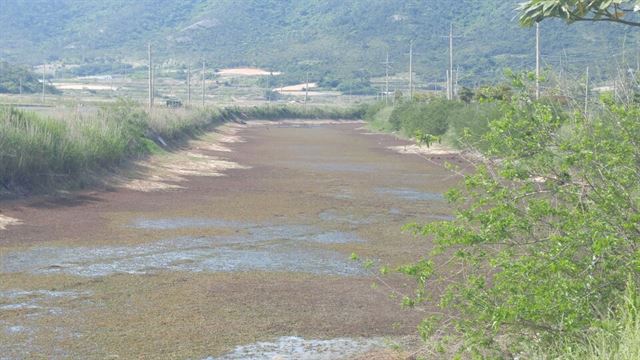 지난 8월 신안군 도초면 외남리 한 저수지가 가뭄으로 바닥을 보이고 있다.한국일보 자료