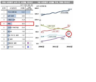 10대 사망원인 순위