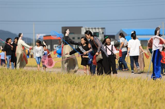 관광객들이 경북 영덕군 고래불 들판에서 메뚜기 잡기 체험을 하고 있다. 영덕군 제공