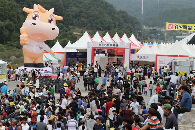 전국 최고 한우를 맛볼 수 있는 횡성한우축제가 19일부터 횡성읍 섬강둔치 일원에서 닷새간 열린다. 횡성문화재단 제공