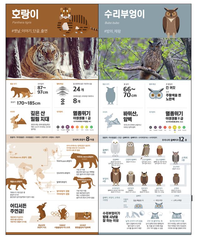 국민이 뽑은 ‘내가 제일 좋아하는 우리생물 101’ 가운데 포유류, 조류군에서 각각 1위를 차지한 호랑이(왼쪽)와 수리부엉이. 국립생물자원관 제공