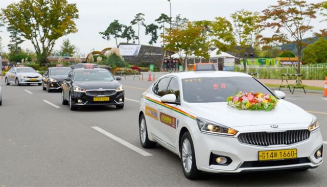 전남 순천시 관광자원을 소개할 관광택시들이 순천만국가정원 앞을 달리고 있다. 순천시 제공