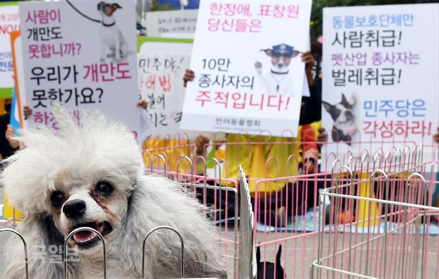 23일서울 여의도 더불어민주당 당사 앞에서 열린 공평한 동물보호법 개정과 반려동물법 입법 촉구 기자회견에서 반려동물협회 관계자들이 피켓을 들고 구호를 외치고 있다 .배우한 기자