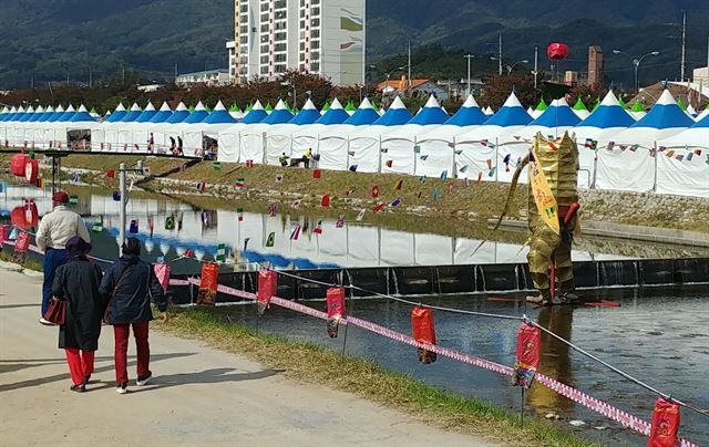 2017경북영주 풍기인삼축제가 열리는 풍기읍 남원천에 세워진 성기 모양을 단 인삼조형물.