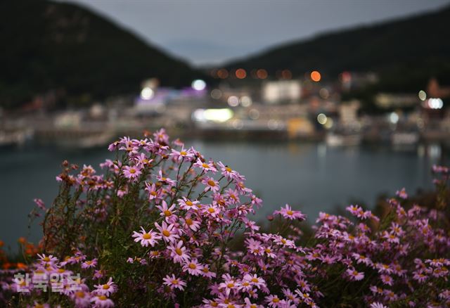 쑥섬 동편에는 외나로도가 보이고…