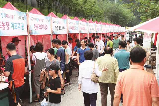 경기 광명시가 도ㆍ농상생발전을 위해 광명동굴 앞에 설치했던 전국 농특산물 장터 모습. 광명시 제공