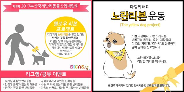 국내에서도 반려인들을 중심으로 올바른 반려 문화를 정착시키기 위한 '노란리본 운동'이 전개되고 있다. 부산국제반려동물산업박람회 페이스북, dada_2968 인스타그램