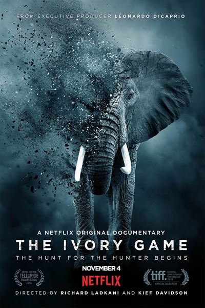 다큐멘터리 'The Ivory Game'에 웨인 로터는 출연을 사양하며 동료 파크 레인저들을 추천했다. 다큐멘터리는 "지금도 코끼리는 매 15분마다 한 마리씩 밀렵당하고 있다"고, "전쟁은 끝나지 않았다"고 밝혔다.