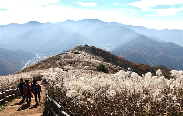 민둥산 건너편 산줄기에는 석탄을 운반하던 옛길 ‘운탄고도’가 숨겨져 있다.