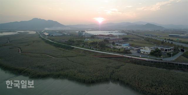 강진만 생태공원 내 갈대축제장. 올해 유난히 강진만 염도가 높아 고사상태가 된 갈대가 적지 않다. 서재훈기자