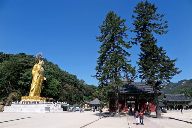 보은 세조길의 법주사 금동미륵대불. 한국관광공사 제공