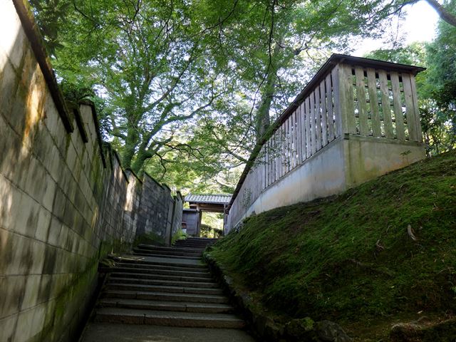 고작 몇 계단을 올랐을 뿐인데, 발자국 소리가 메아리 치는 숲 속이다.