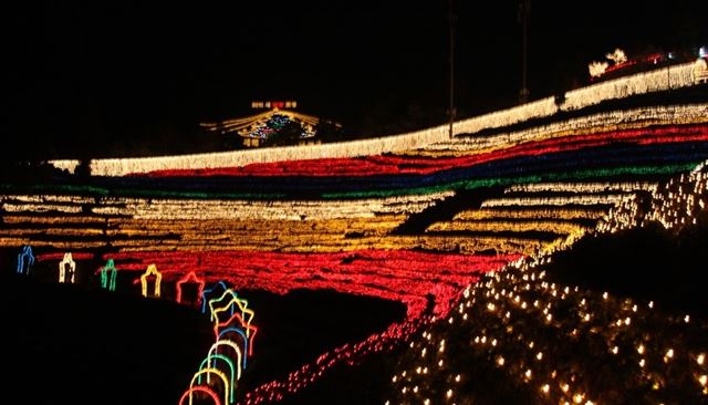 지난해 열린 제14회 보성차밭 빛축제 야경. 보성군 제공