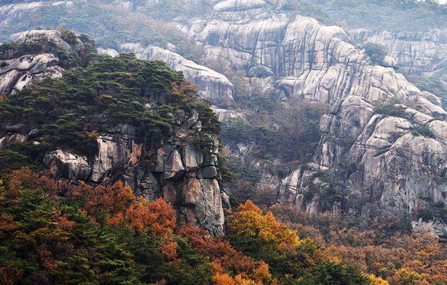 선상에서 어디로 눈길을 돌려도 한 폭의 산수화다.