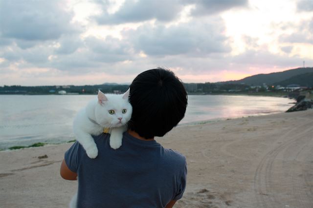 제주도 바닷가에서 함께 한 히끄와 히끄 아부지. 엄마 자리를 뺏을 수 없어 아버지를 자처한 이신아씨는 이름에서 짐작할 수 있듯 여성이다. 이씨는 이 사진에다 이런 해시태그를 달았다. #뒷모습보여줬는데_남자라고한사람나와 #그게바로 #등발좋은여자의길. 야옹서가 제공