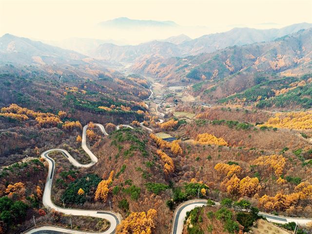 고갯마루 정자에서 촬영한 도마령 풍경. 스물네 구비의 이 고갯길은 늦가을 단풍이 아름답기로 유명하다. 영동군 제공