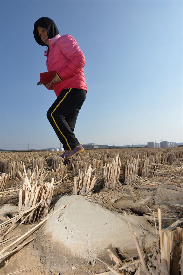 경북 포항시 북구 흥해읍 용천리 일대 논에서 18일 액상화 현상이 나타났다. 액상화 현상은 지난 15일 발생한 규모 5.4지진의 영향으로 추정되며 흙탕물이 지진 등 강한 진동에 의해 지하수 주변 점토나 모래를 흡수한 후 지표면 밖으로 분출되는 현상으로 국내 지진 관측 사상 액상화 현상이 발견된 것은 이번이 처음이다. 뉴스1