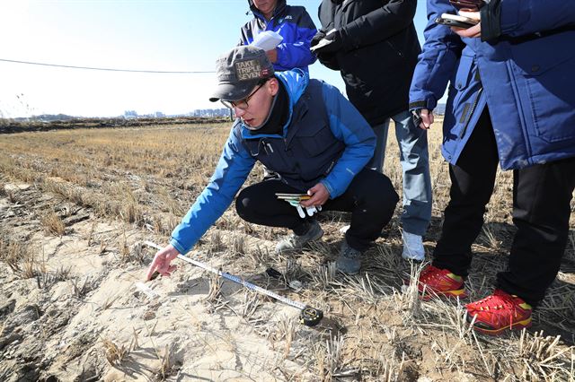 19일 오전 경북 포항시 흥해읍 일대 논에서 한국지질자원연구원 관계자가 지진 영향으로 나타난 액상화 현상의 현장조사를 하고 있다. 현장인 논에는 액상화로 물이 솟구치며 같이 올라온 모래가 남아있는 것이 보인다. 연합뉴스