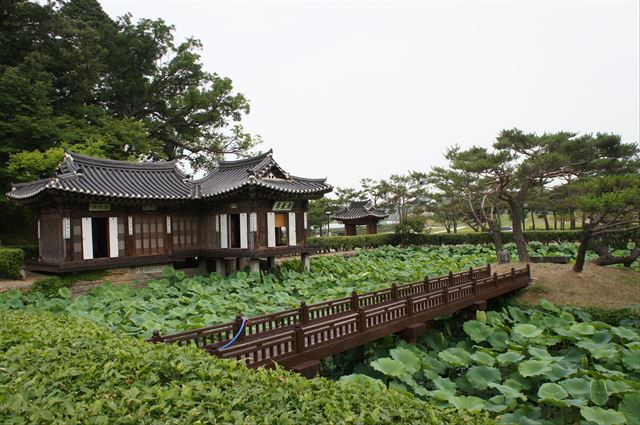 선교장은 조선 최상류층의 생활문화를 보여준 곳이다. 사진은 여름에 별당으로 쓰는 활래정 건물. 한국학중앙연구원 제공